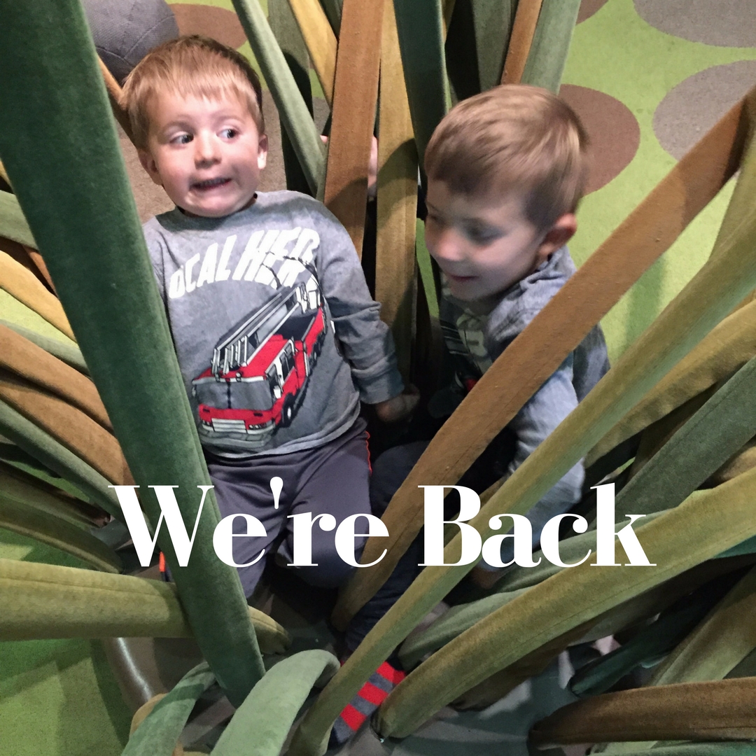 We're Back.jpg