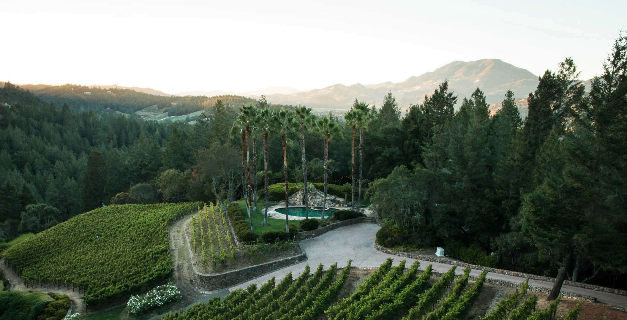 Harvest for T. Berkley Wines