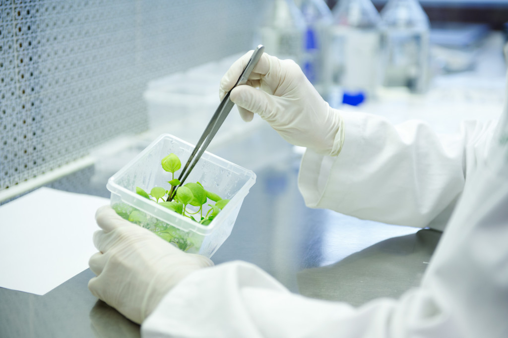 zeller-lab-plant.jpeg