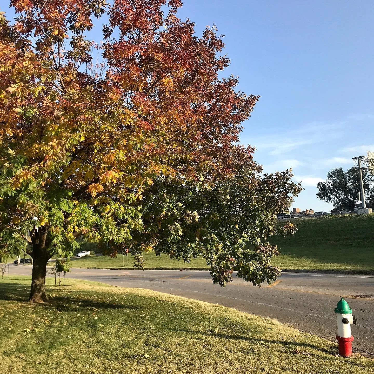 Fall in Columbus Park.
