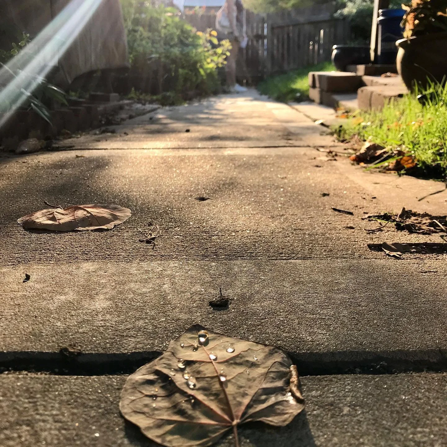 Spotted these pearls on the way out. The rays were a bonus. #1stshot