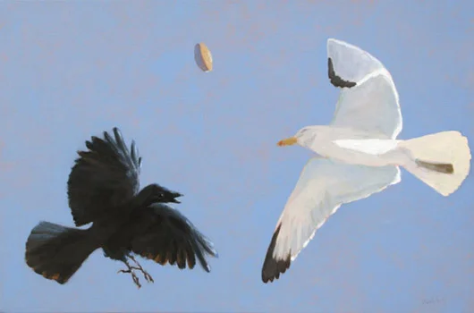 Crow and Gull