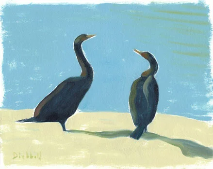 cormorants
