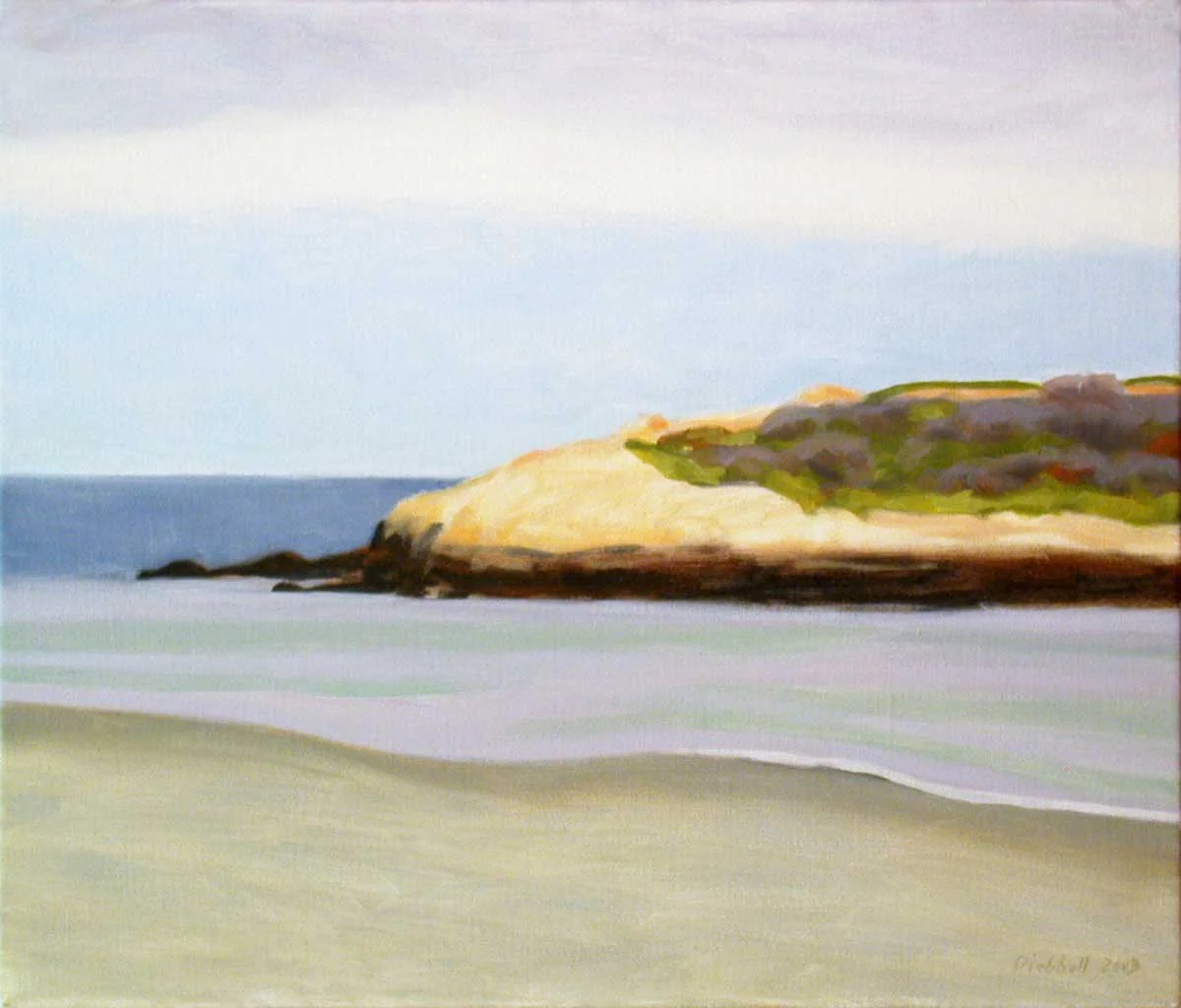 salt island, north end 2003