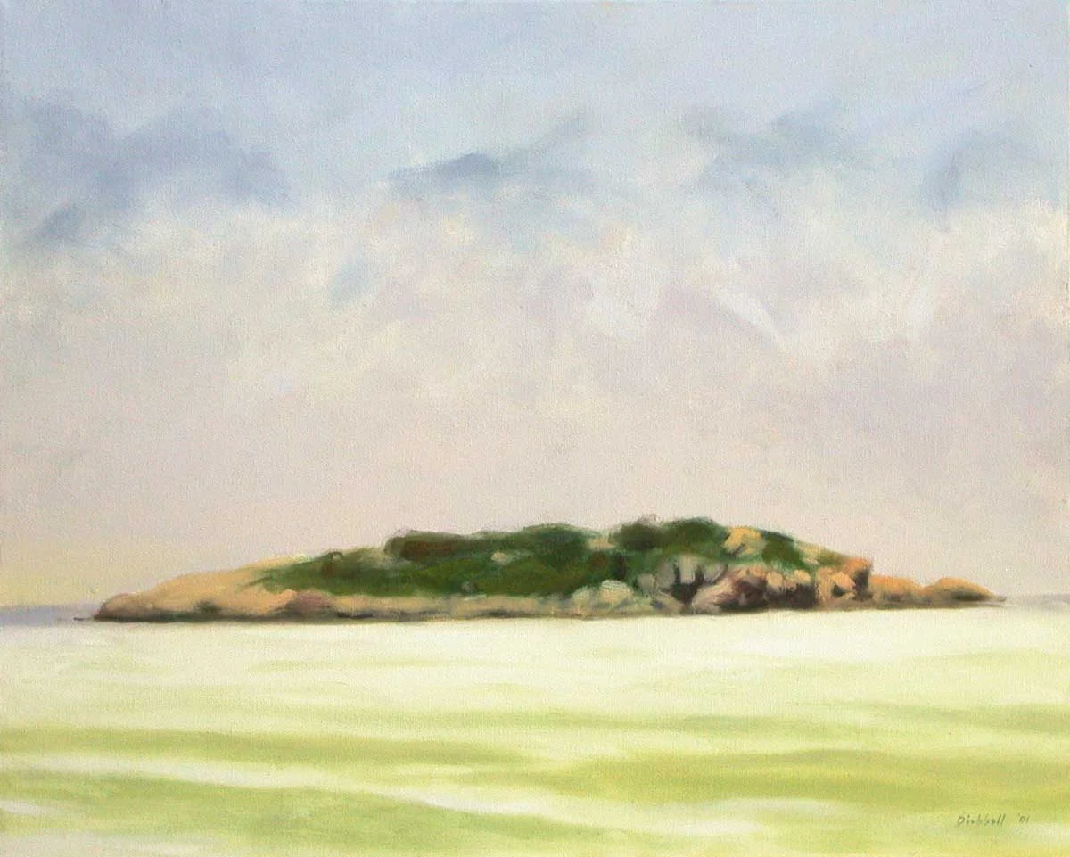 salt island after storm