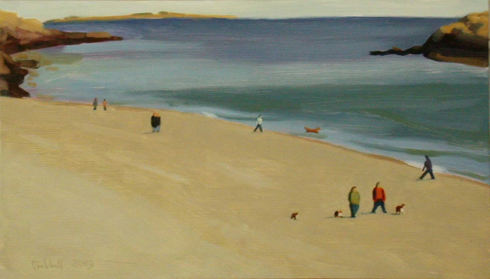 Beach Dogs