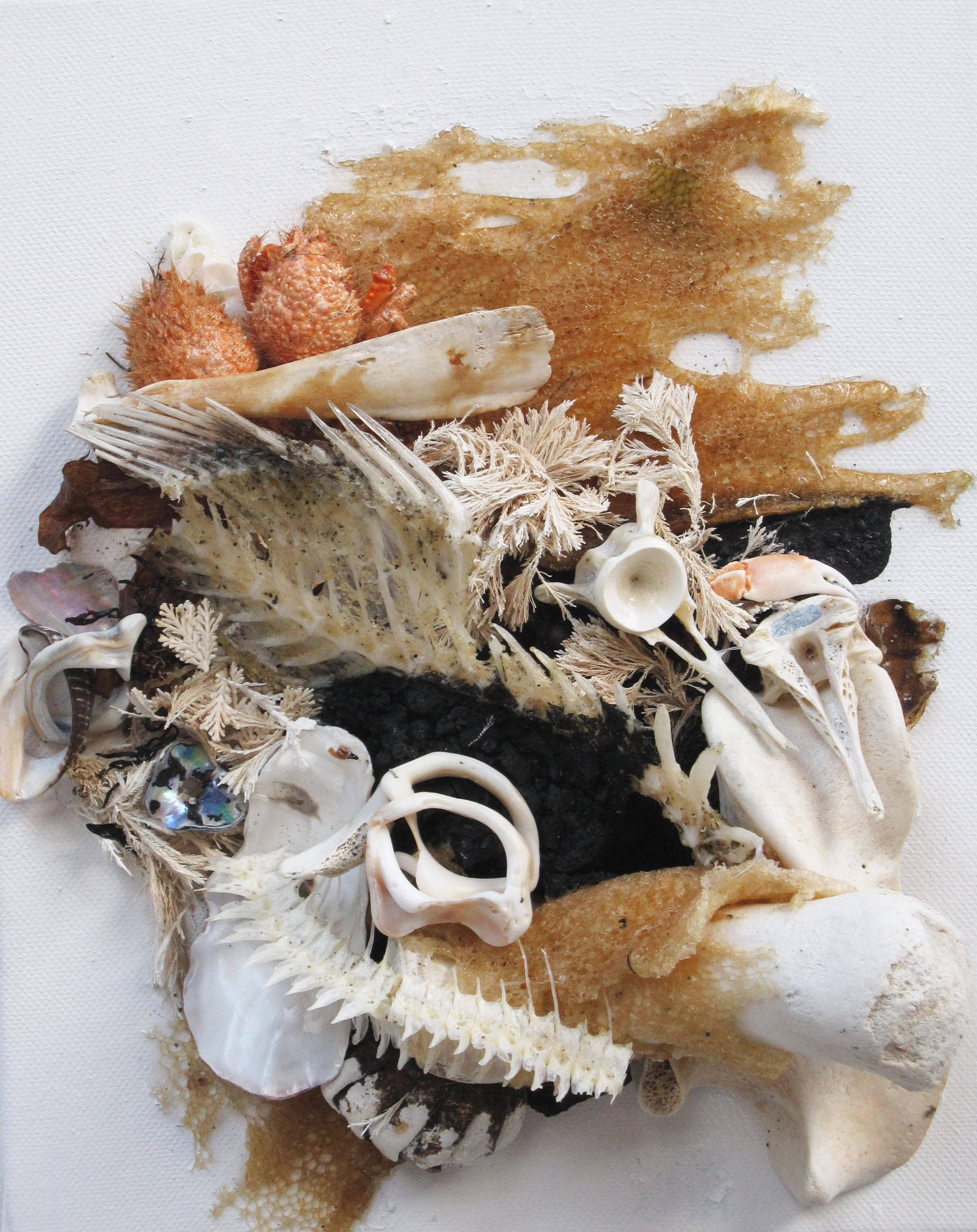 Collection with charcoal