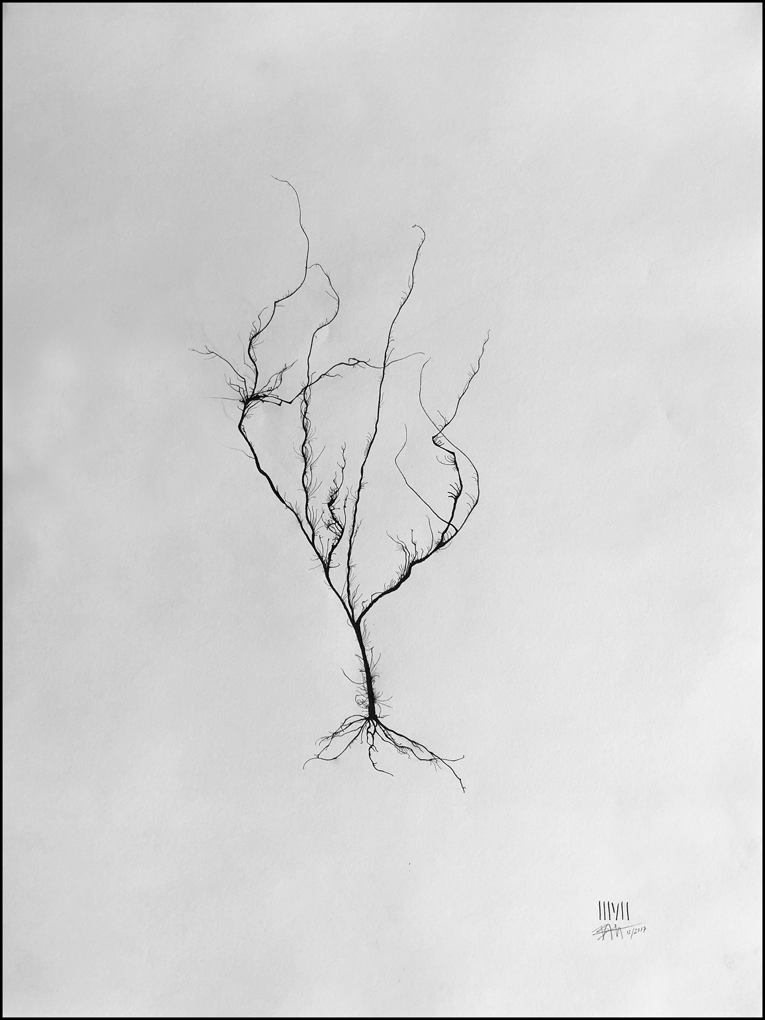 'Tree #02'