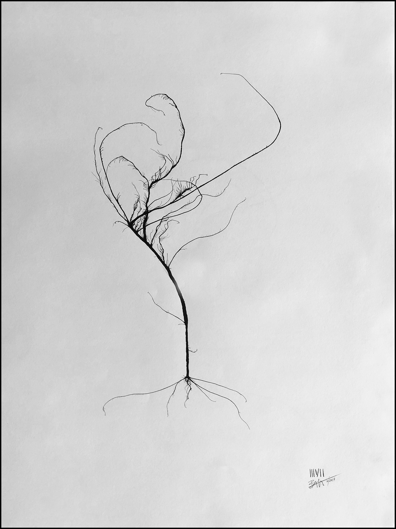 'Tree #03'