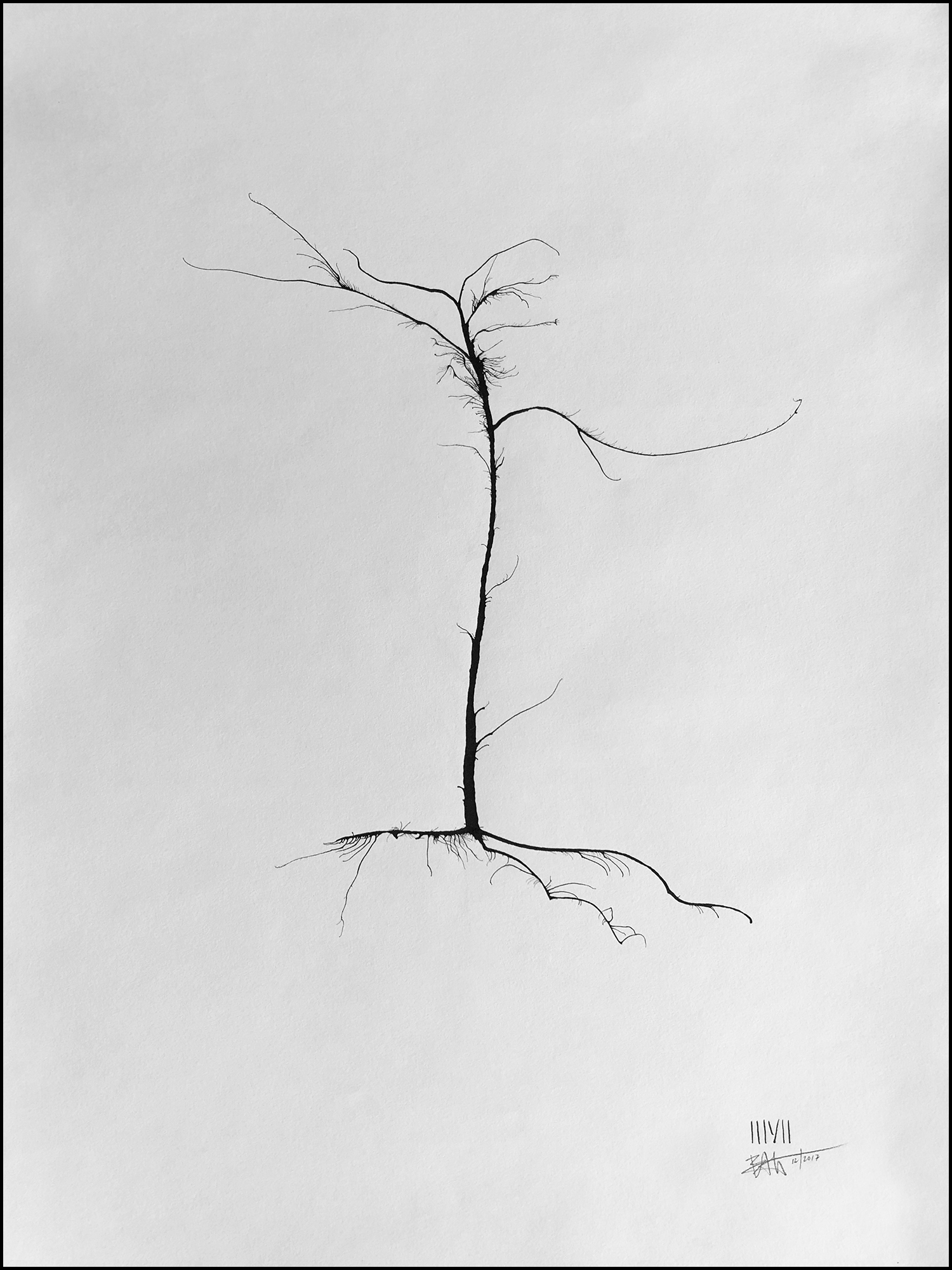 'Tree #04'