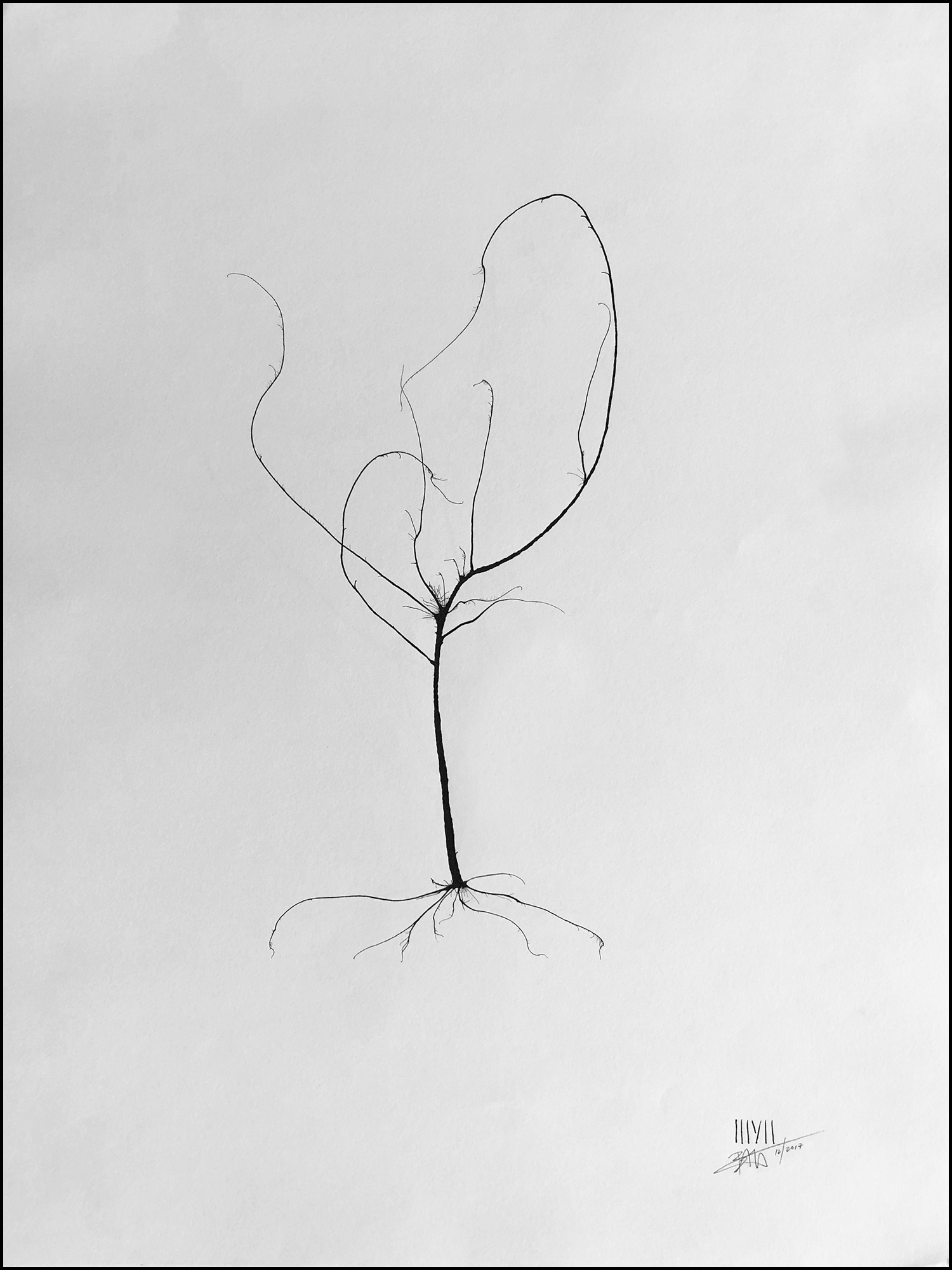 'Tree #05'