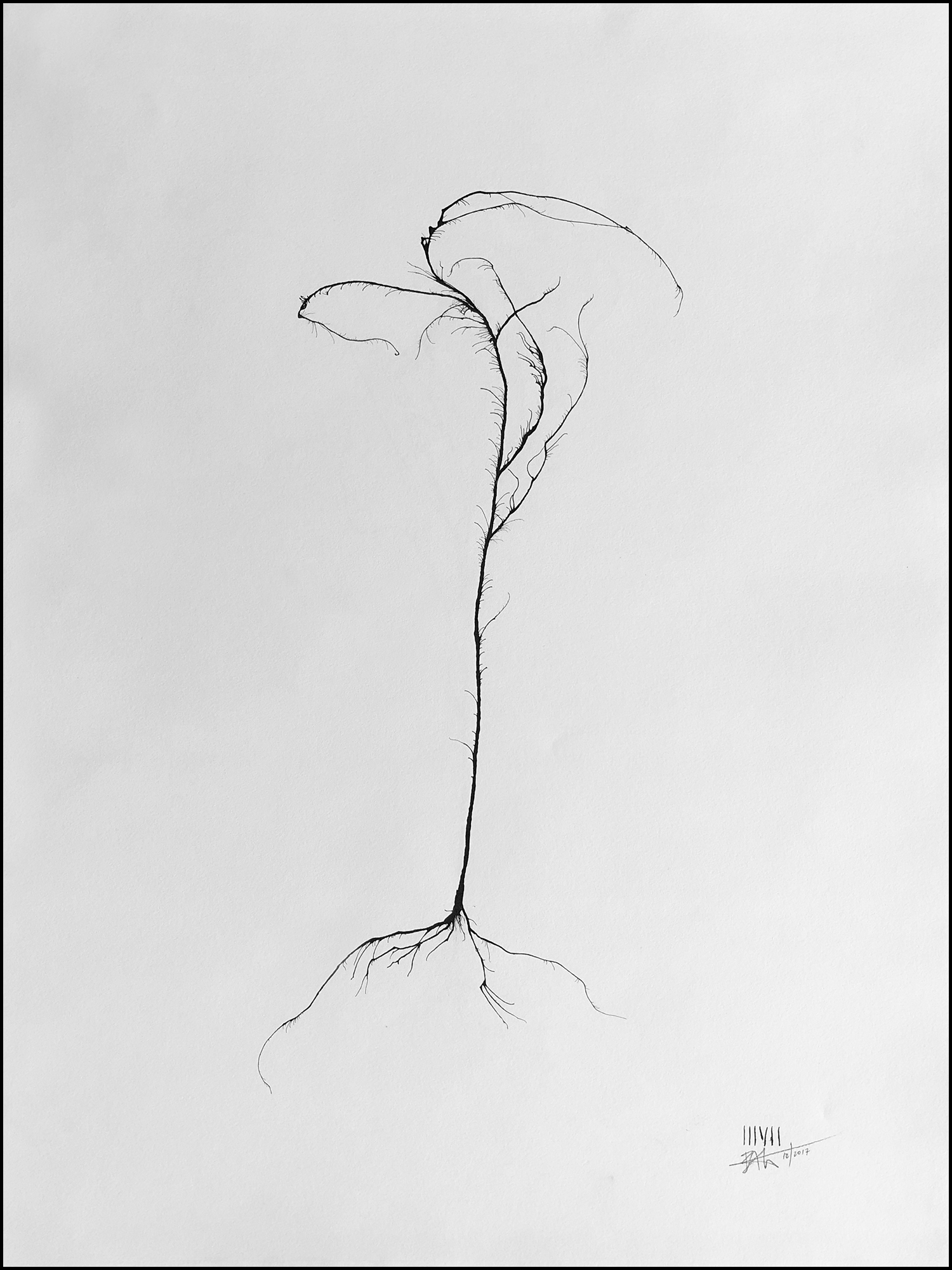 'Tree #06'
