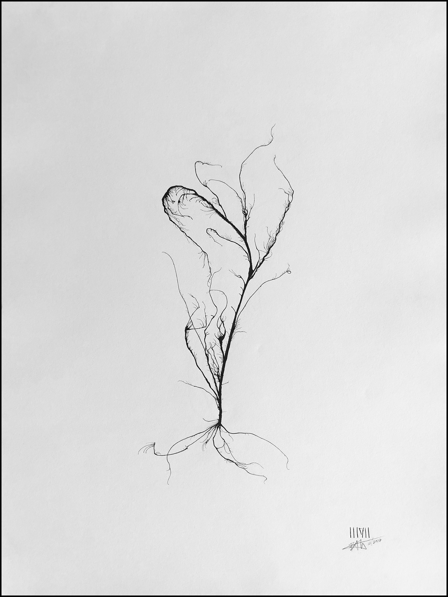 'Tree #09'