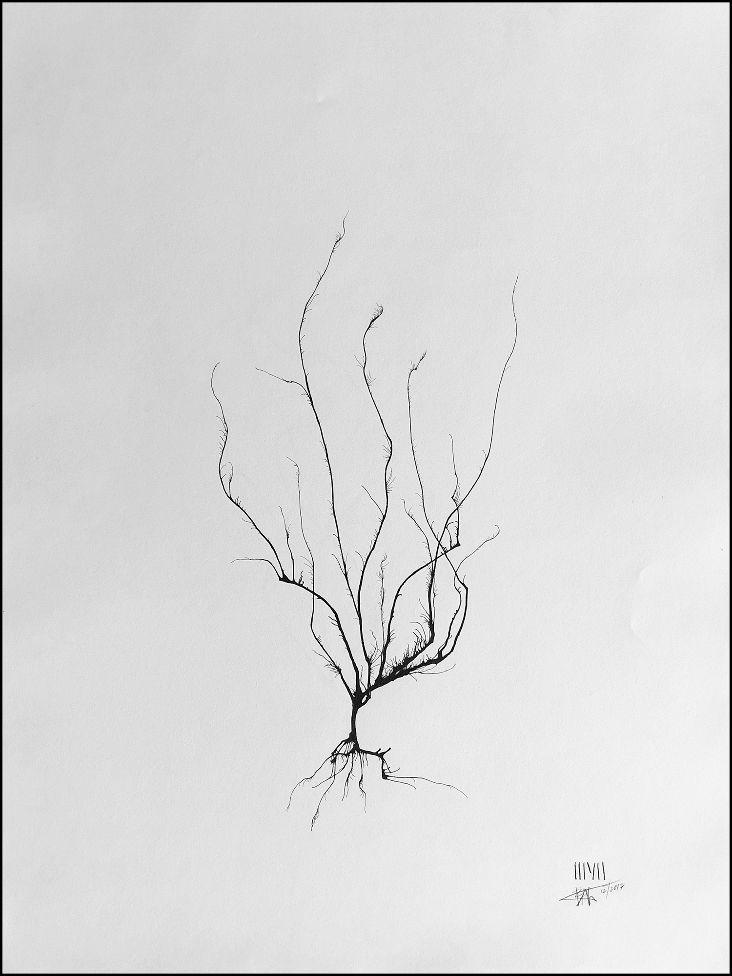 'Tree #11'