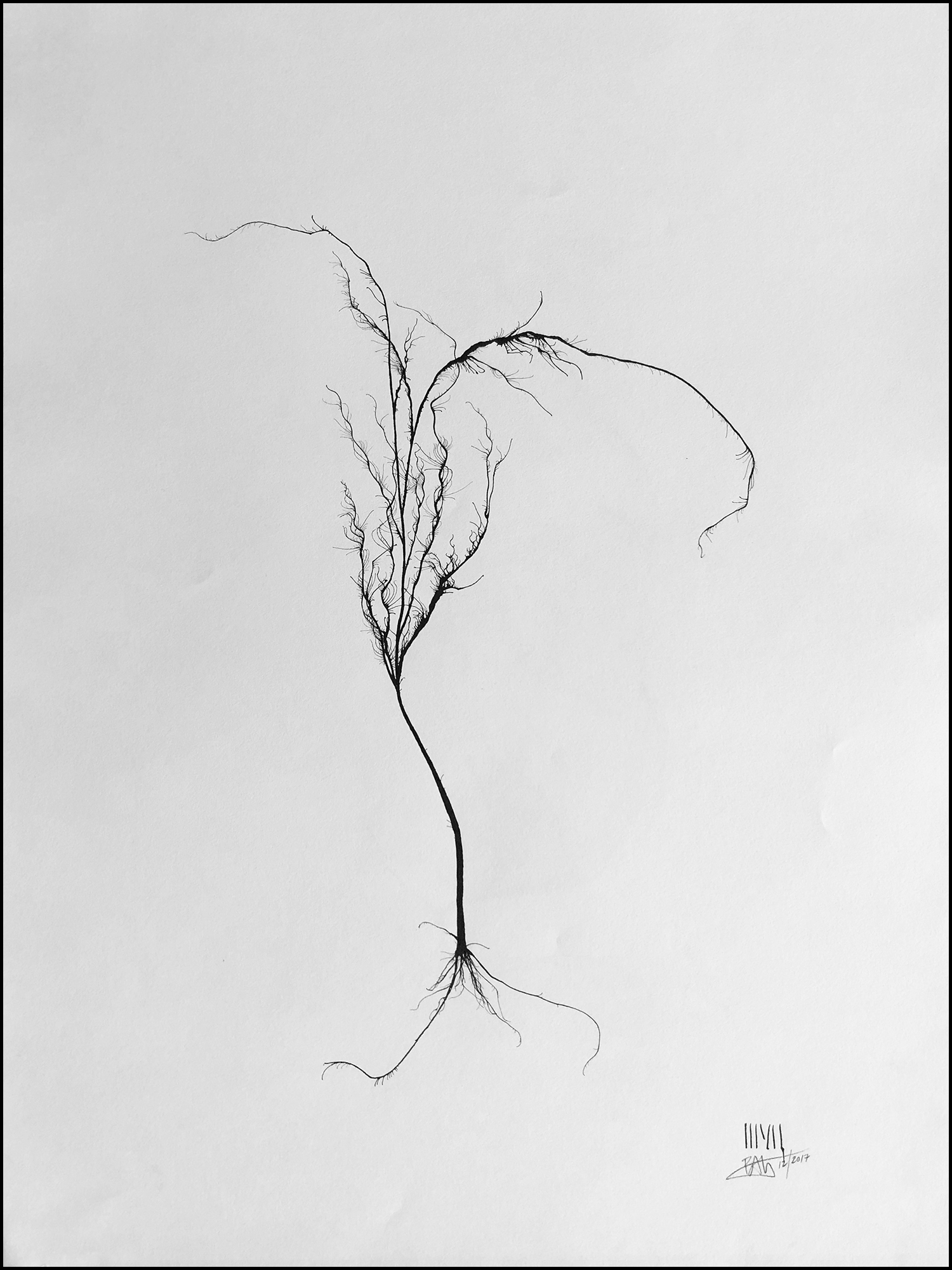 'Tree #12'