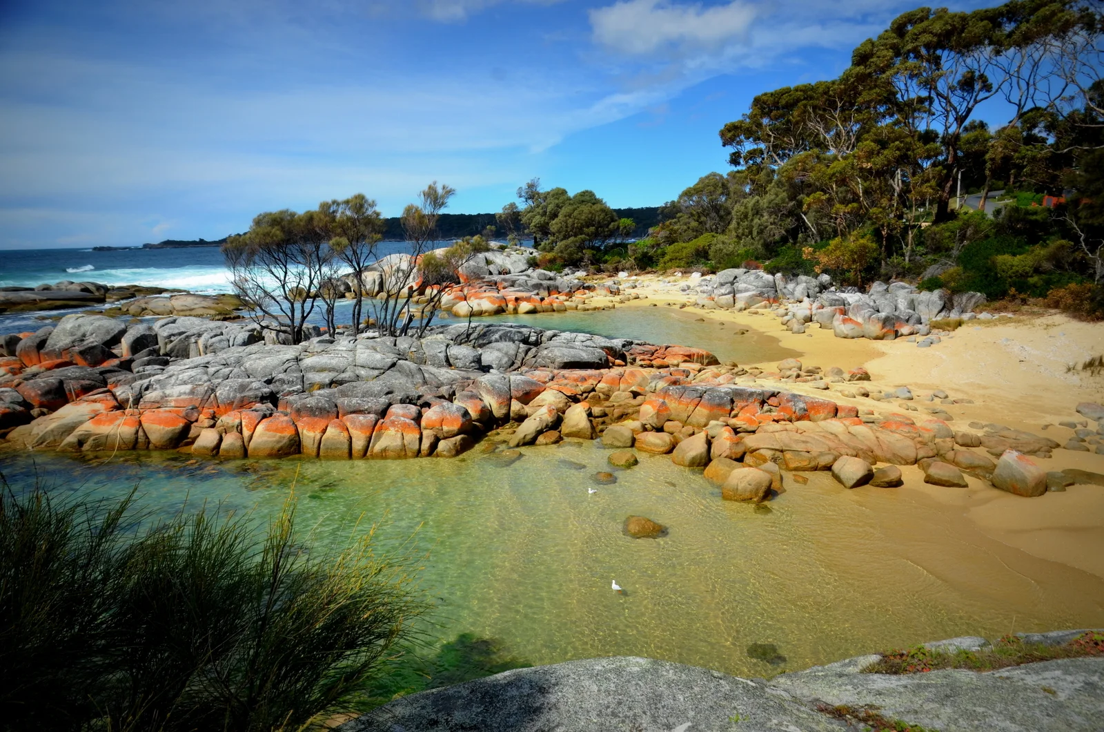 Un Cuore per Isola - Viaggio in Tasmania
