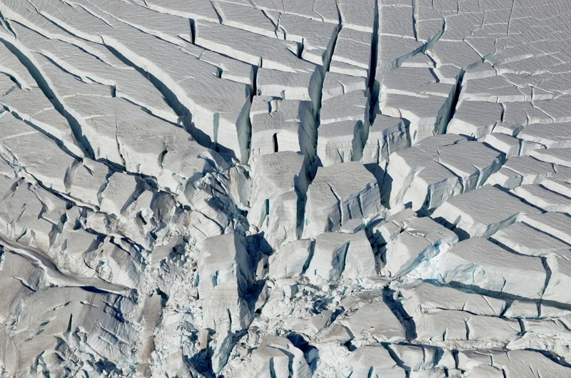 Alla scoperta della Terra di Mezzo, Nuova Zelanda