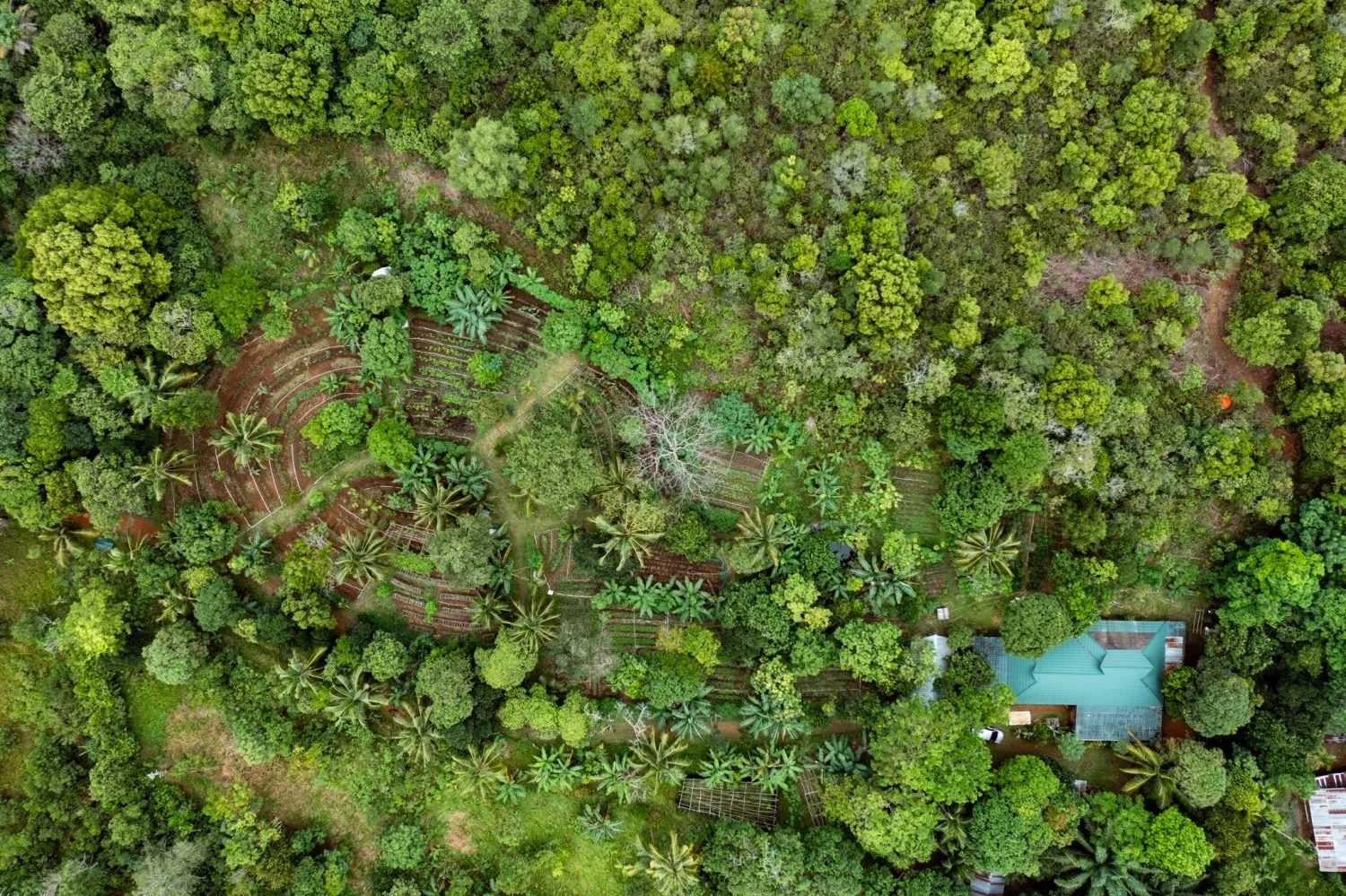 Nikoi Island (Indonesia): Un Paradiso Nascosto nell'Arcipelago Riau