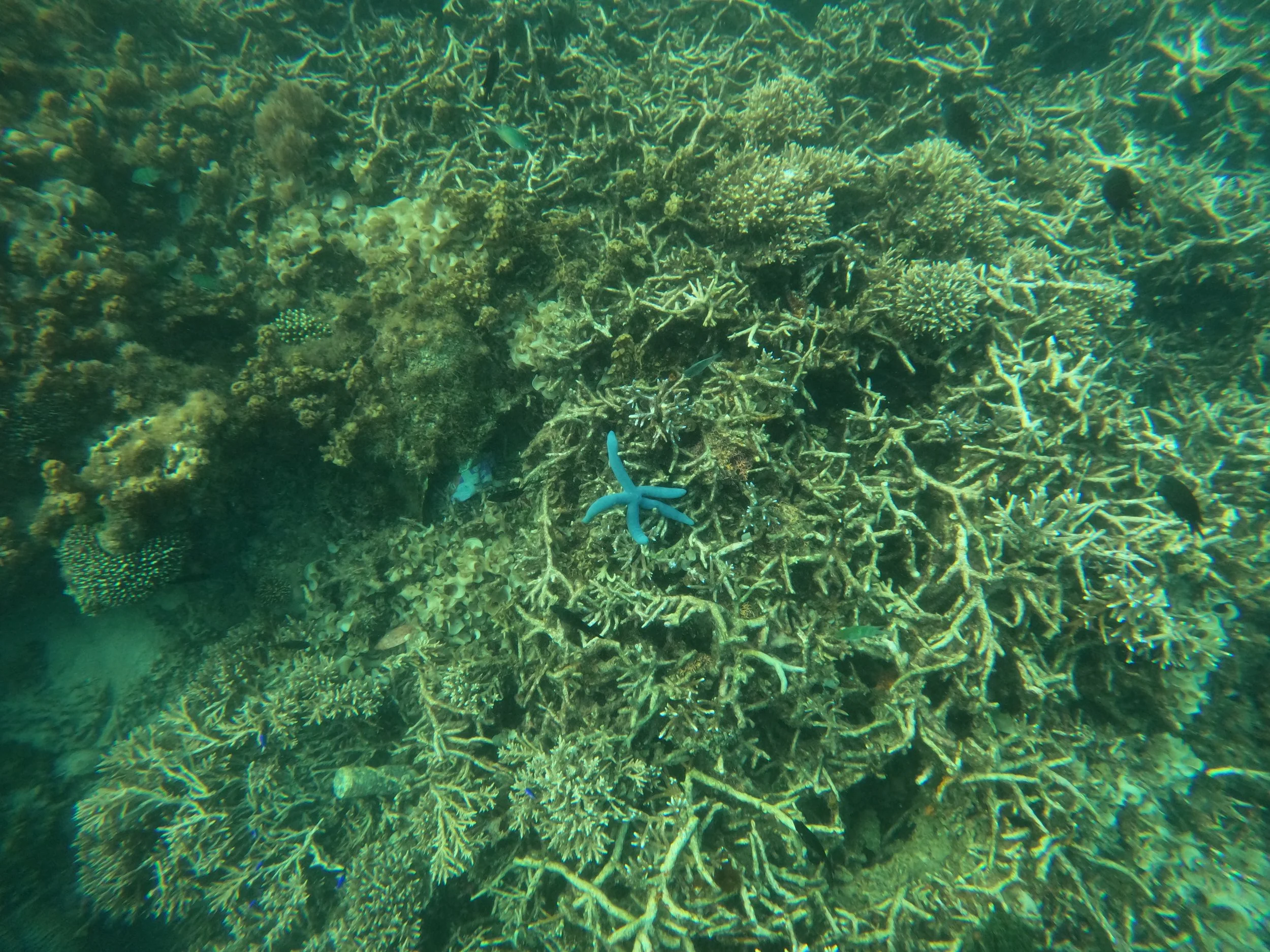 GOPR3672_1776523179101.JPG