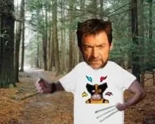 wolvie+shirt.jpg