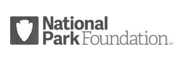 Foundation Logo