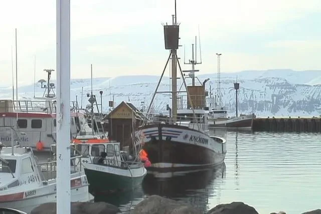 Interests Collide: Whalers and Whale Watchers at Odds