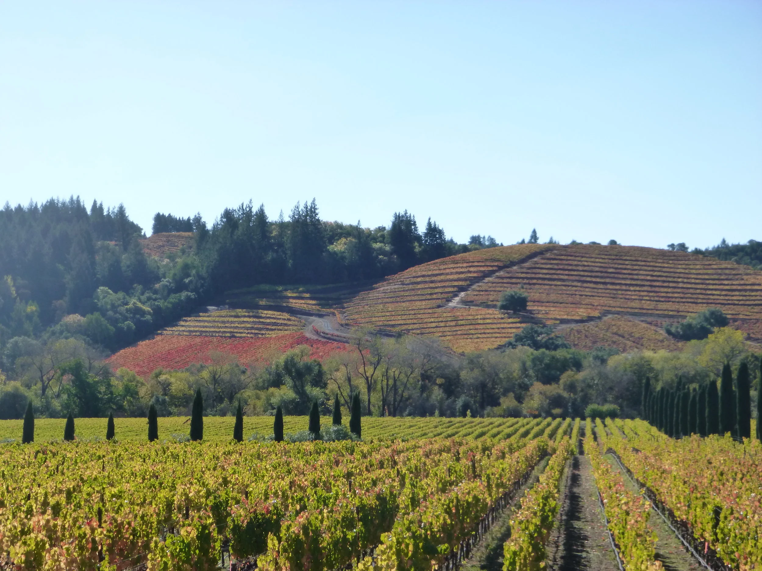 Sonoma