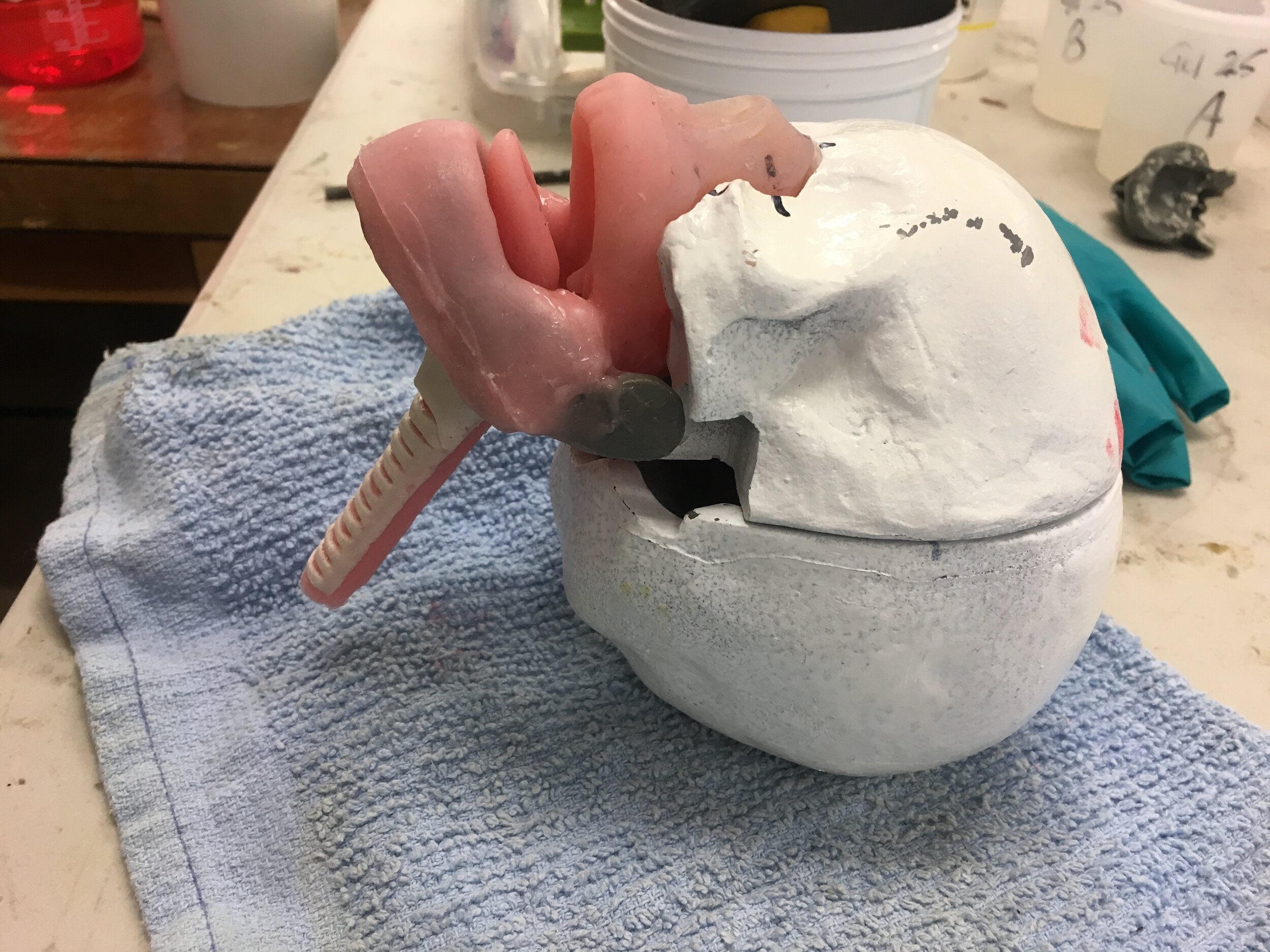 Med Sim Infant Airway