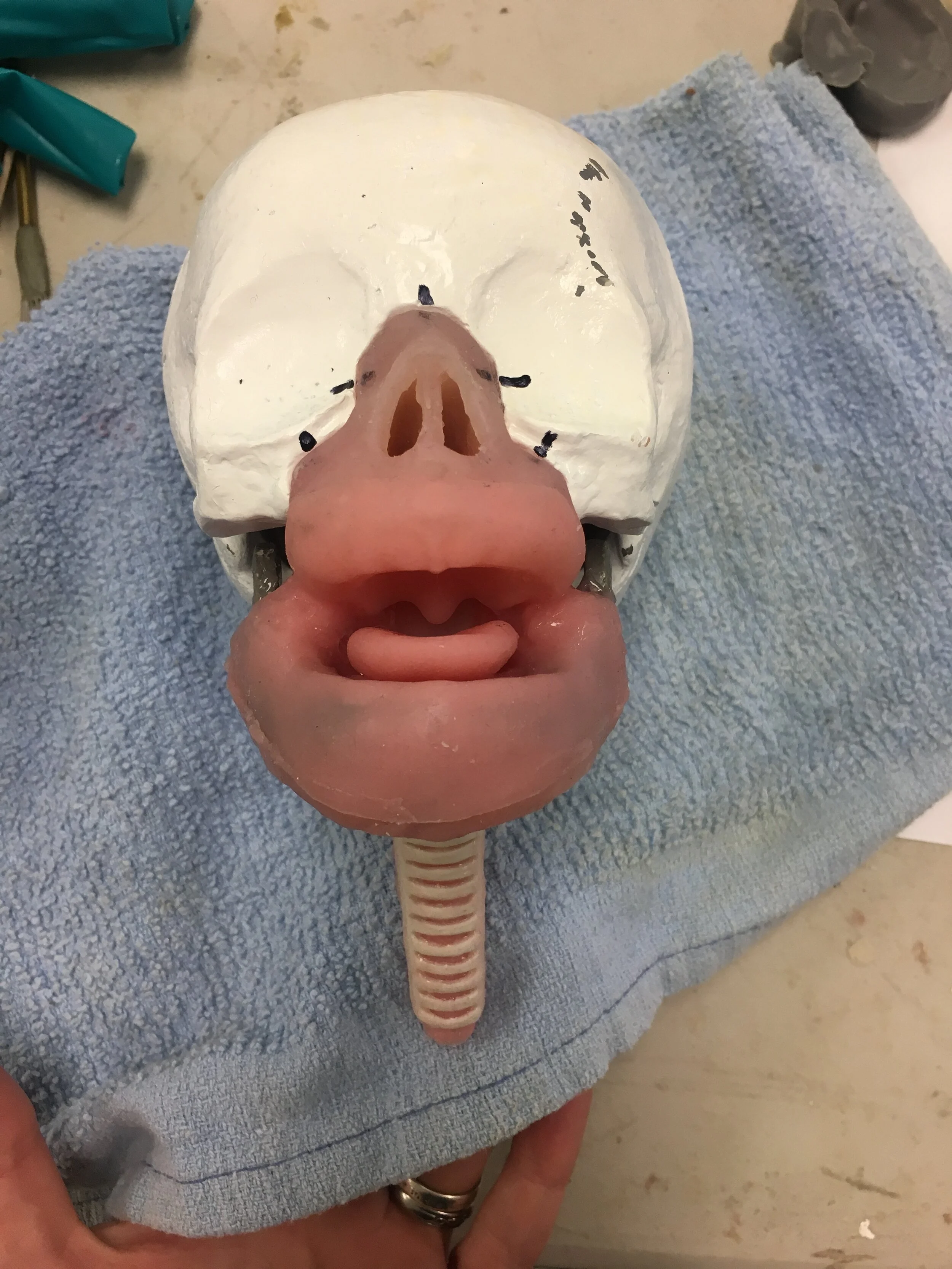 Med Sim Infant Airway