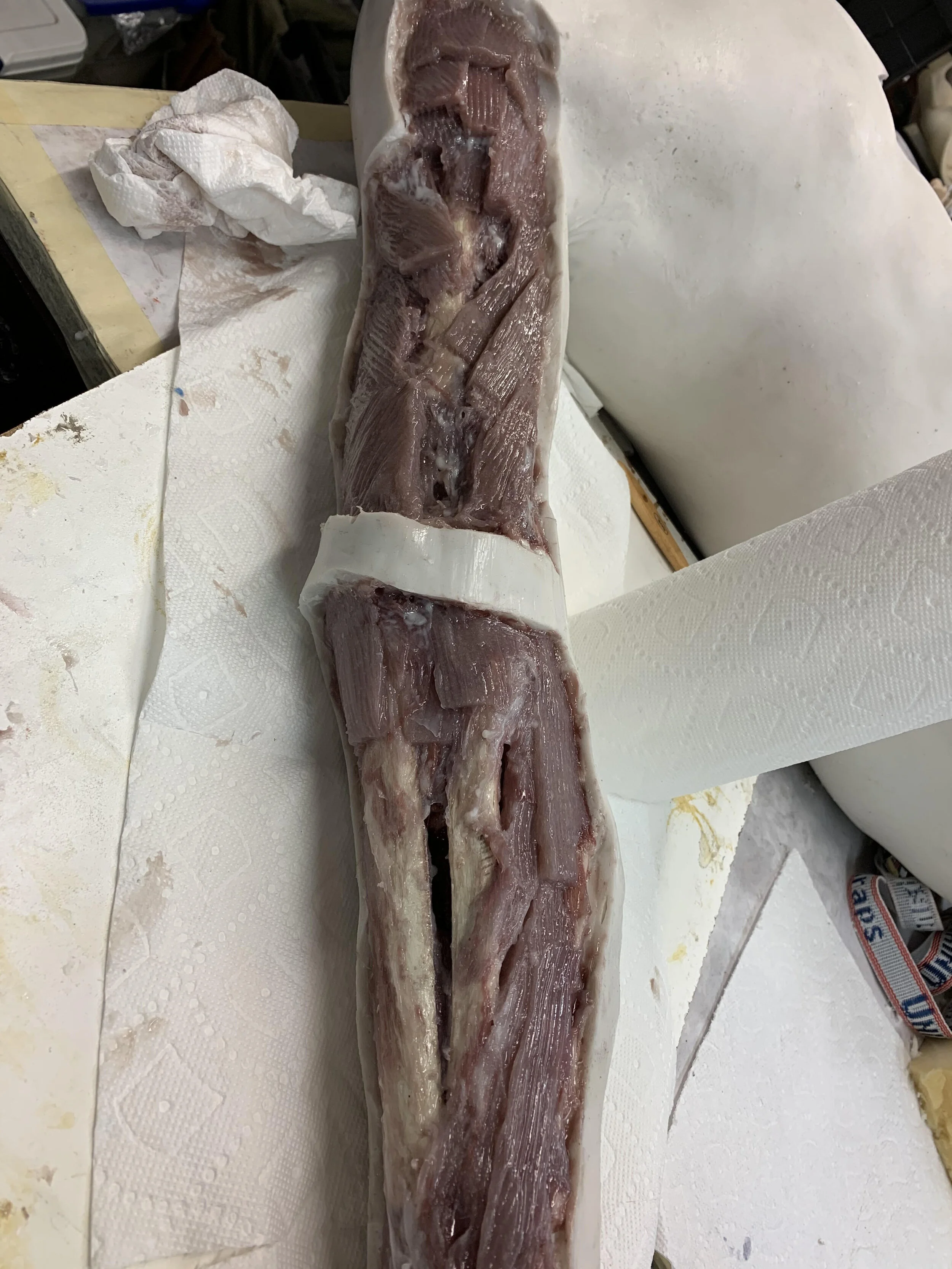 Silicone Fabricated Trauma