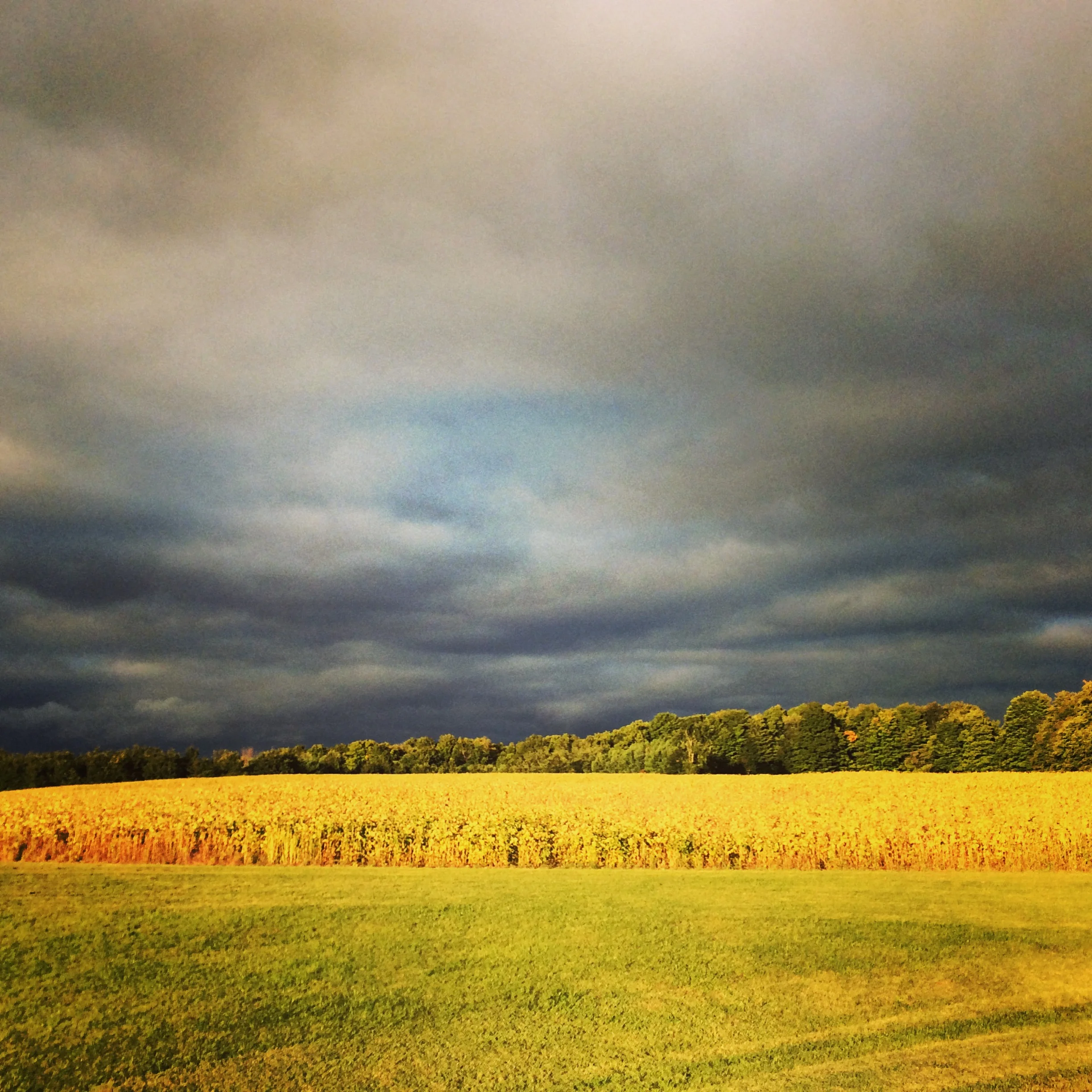 Dufferin County Goods Co.