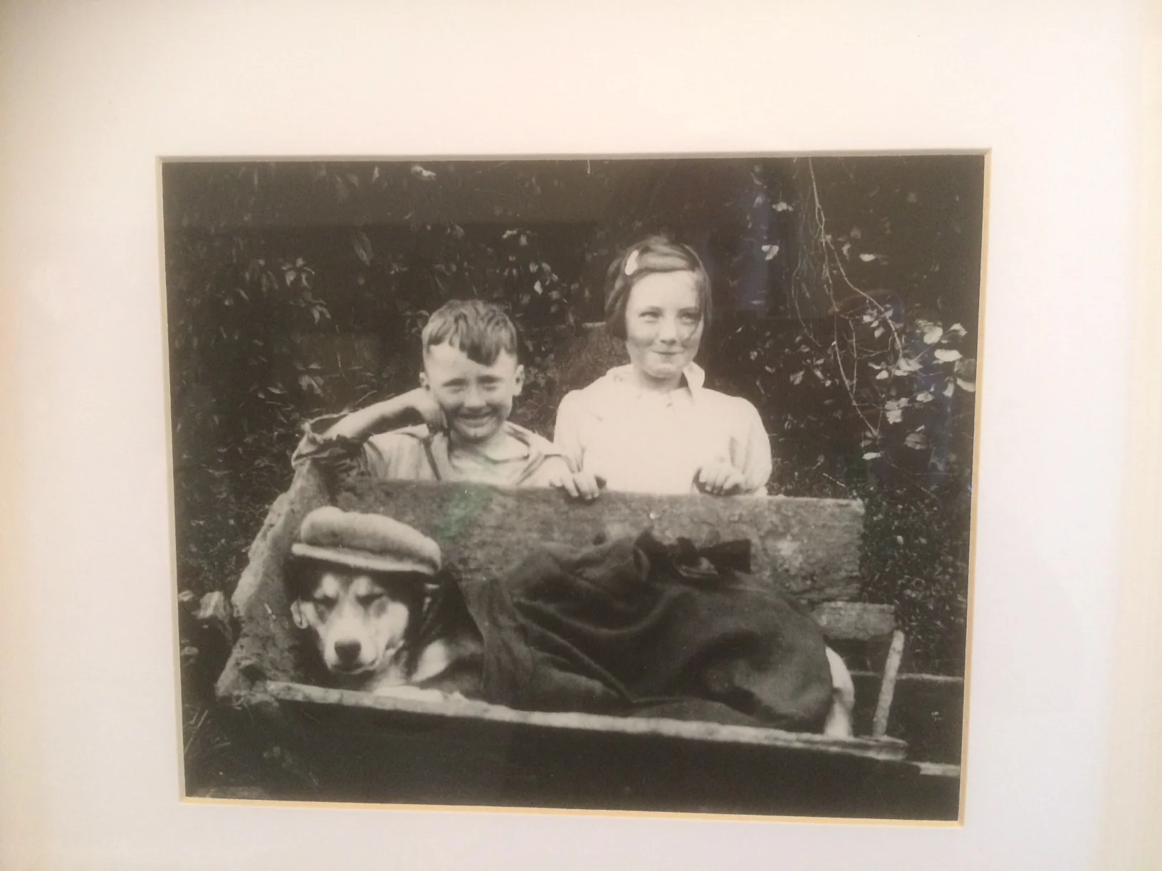 Dufferin County Goods Co.