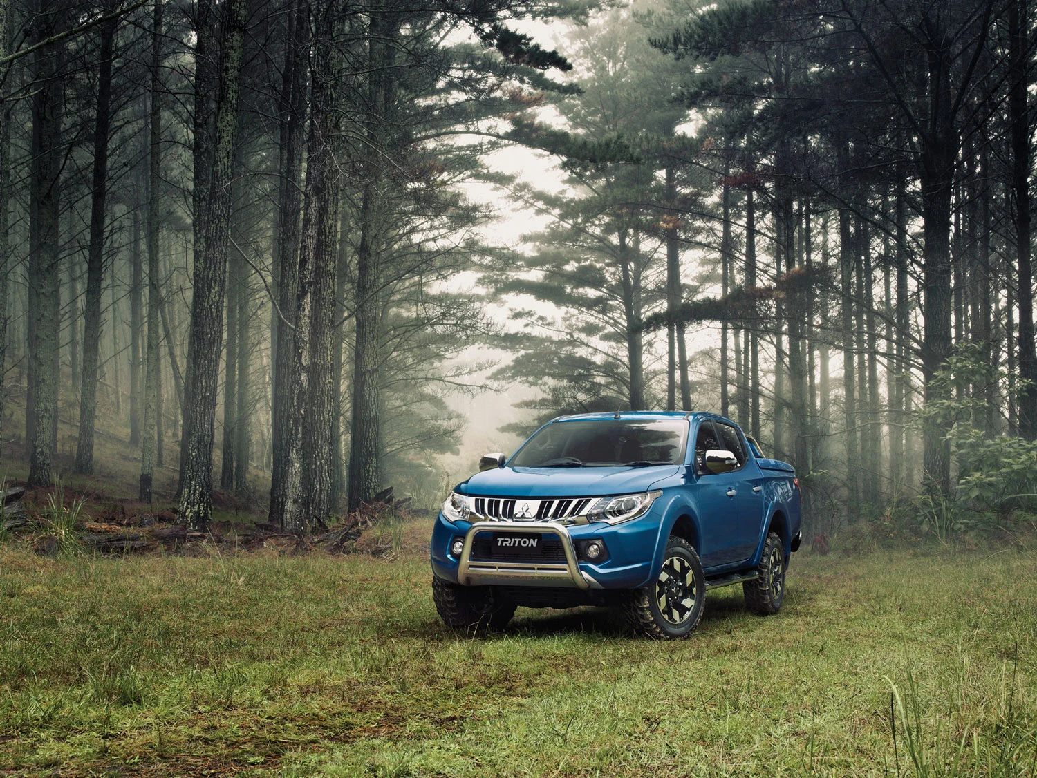 TRITON-FORREST-FULL-GRADE-CMYK-v02.jpg