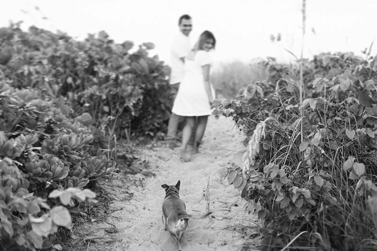 Main character energy 🐾