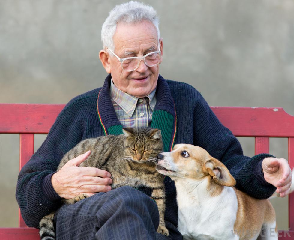 old-man-with-cat-and-dog.jpg