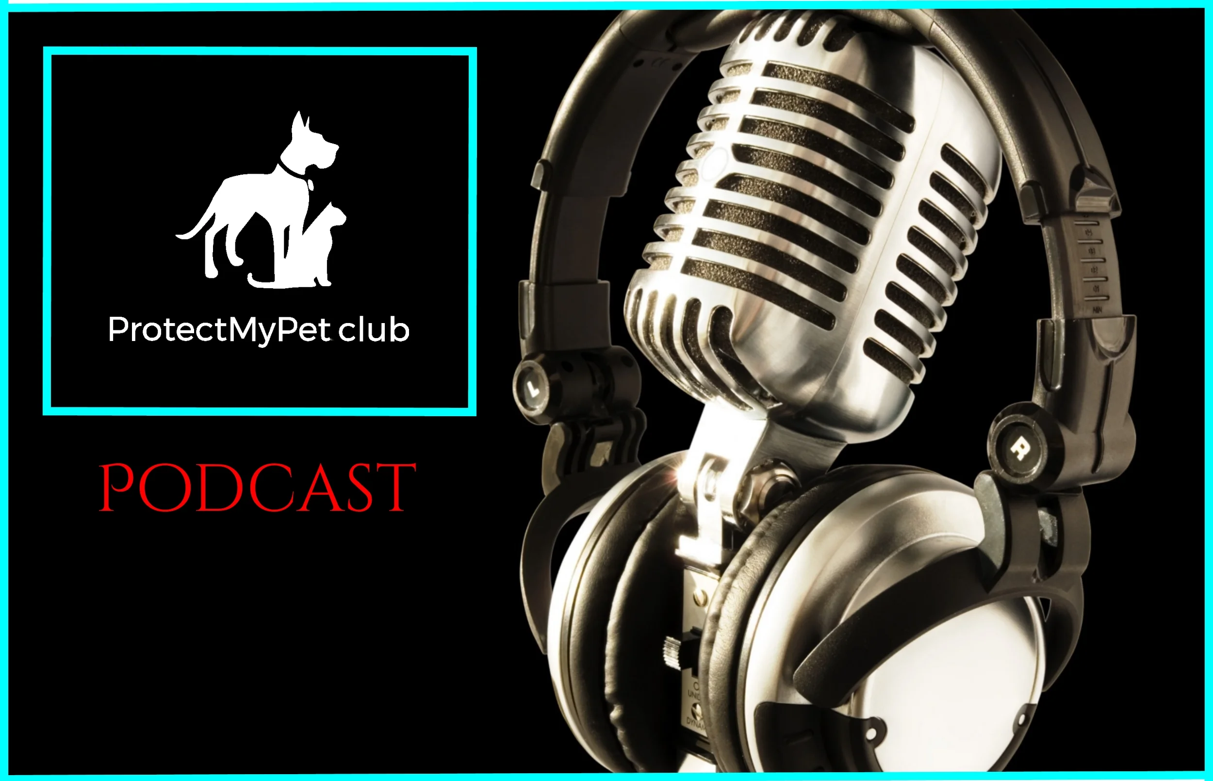Protect My Pet Club Podcast 2500 x 1610_Wondershare.jpg