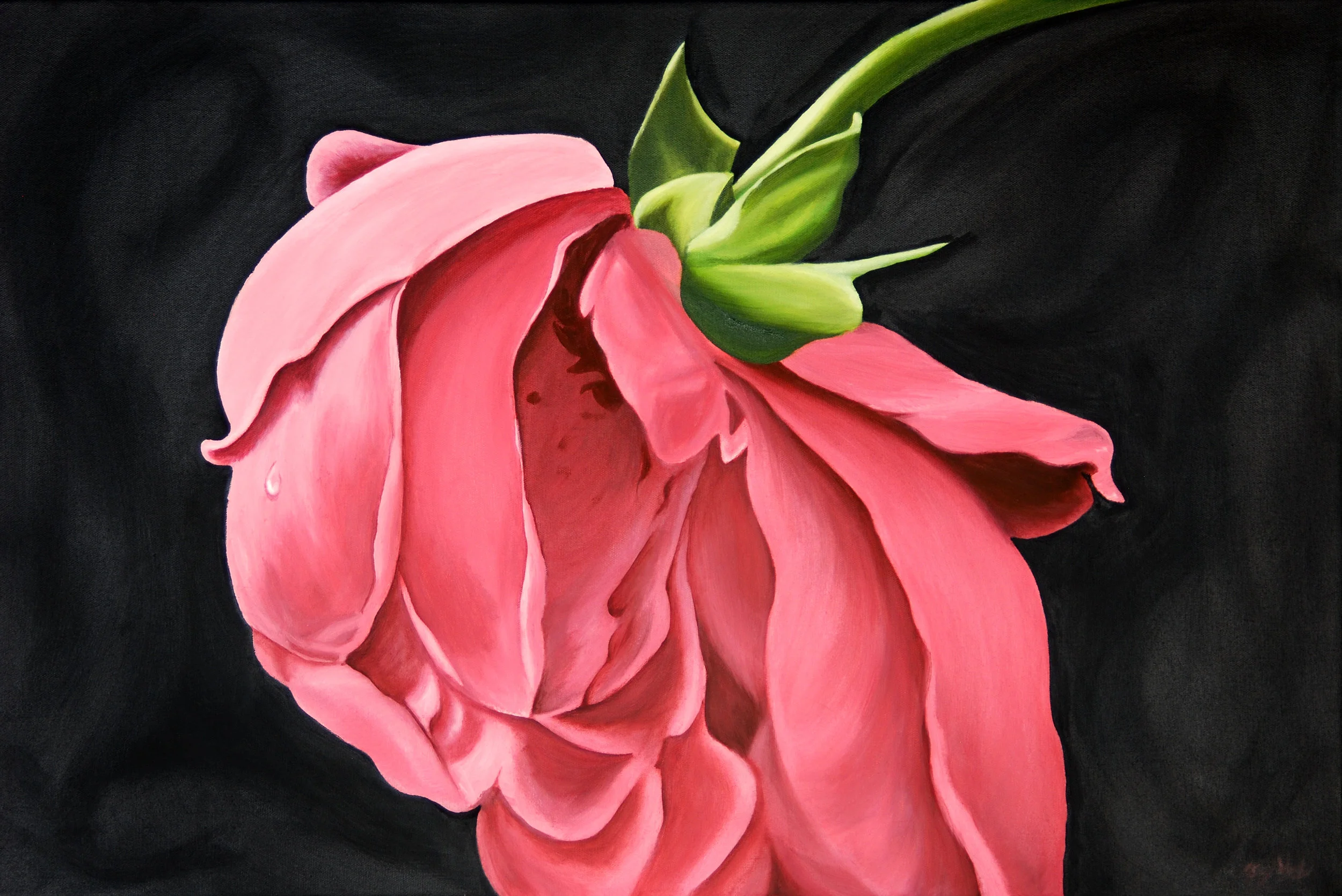 Beauty In Death, Oil on Canvas.jpg