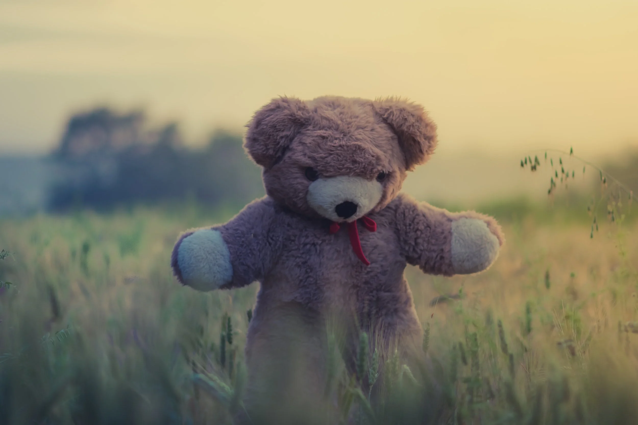 RESCHEDULED Teddy Bear's Picnic