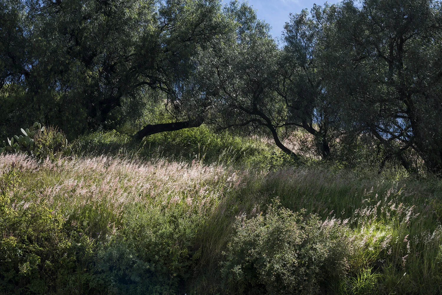 natureofgrief028.jpg