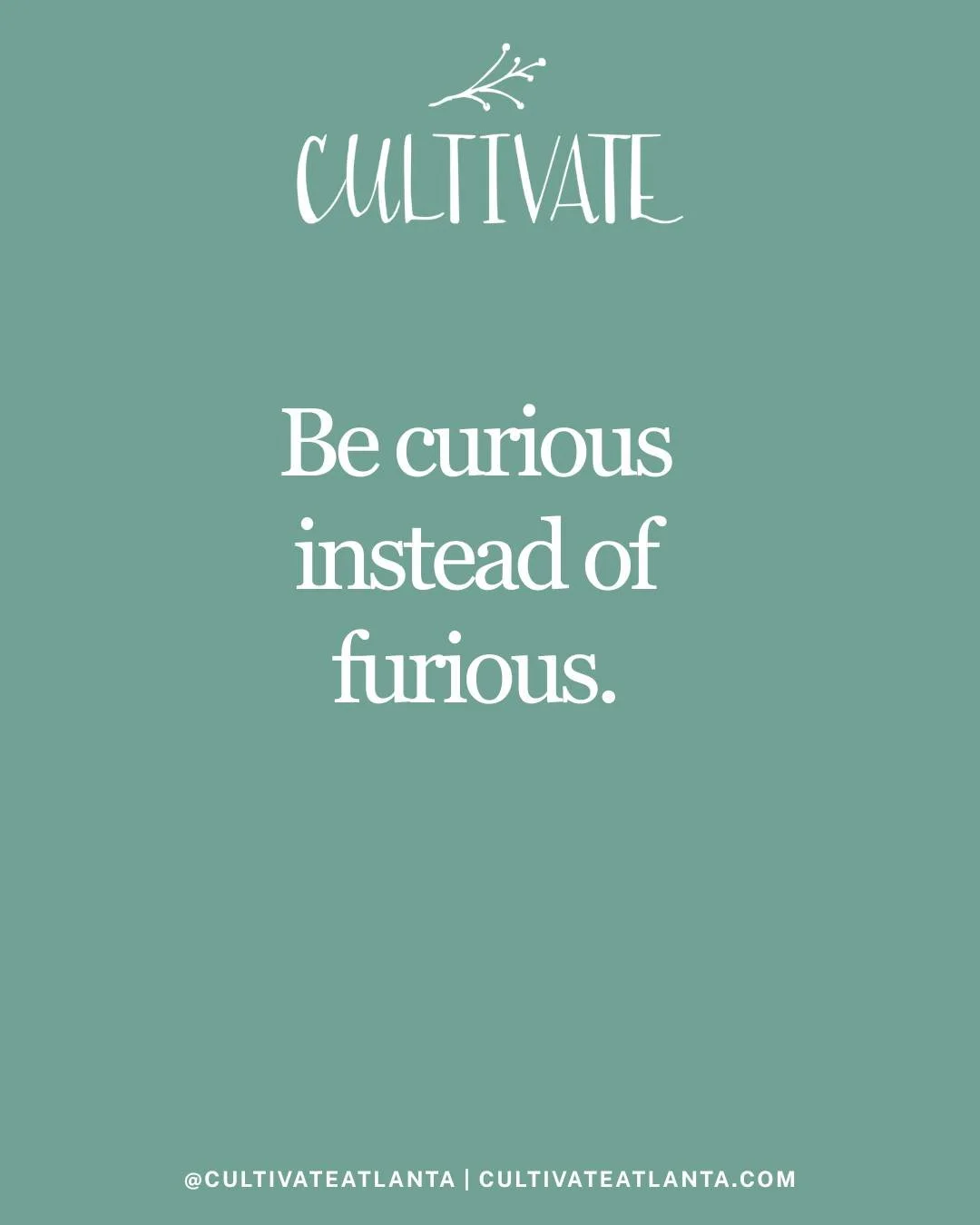 It is so easy to jump to conclusions.  It is so easy to make assumptions.  It is so easy to engage in those knee jerk reactions that are, more often than not, OVER reactions. But as many of us know all to well, these are losing strategies. 

Rarely d