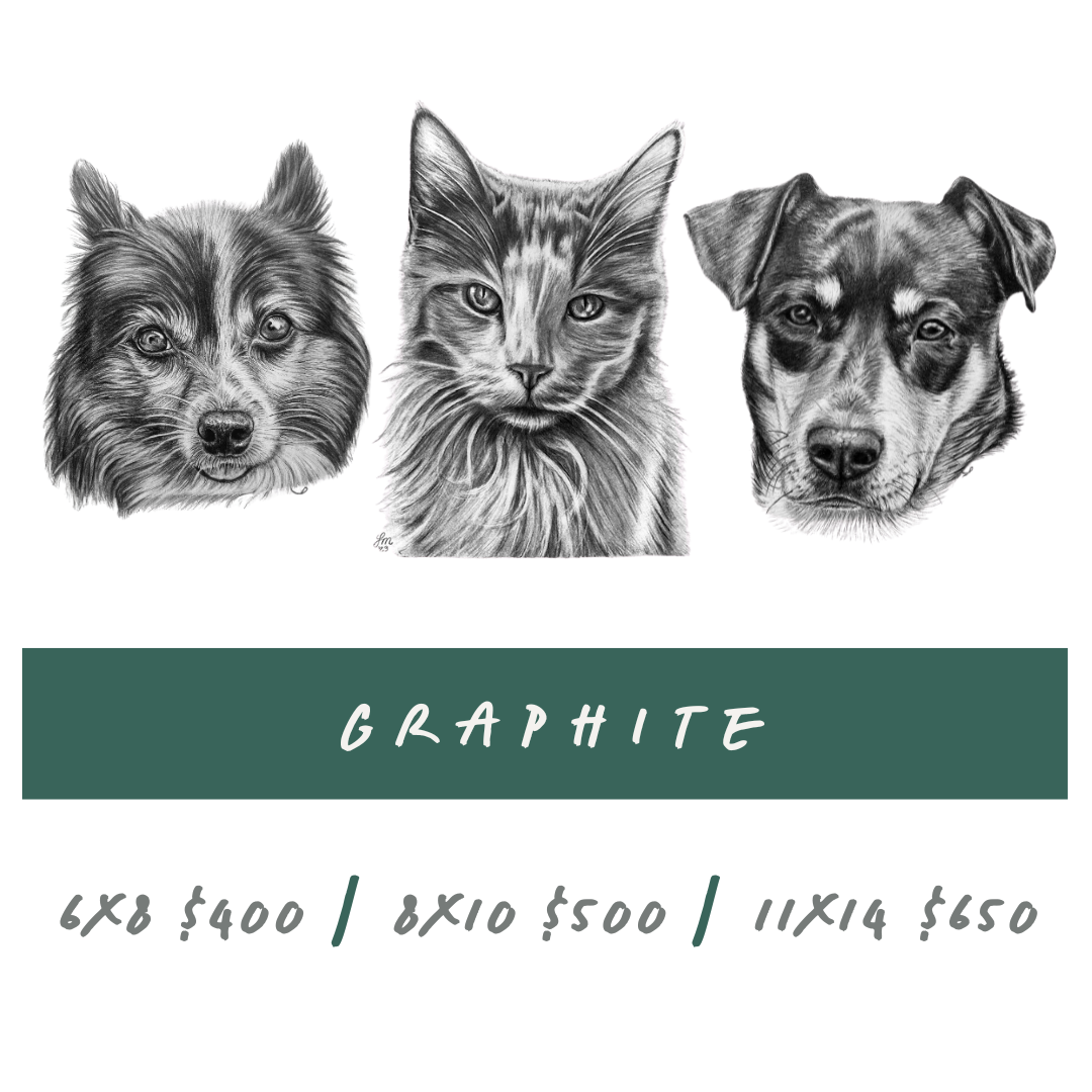 Pet Portrait Artist Liz Moretti