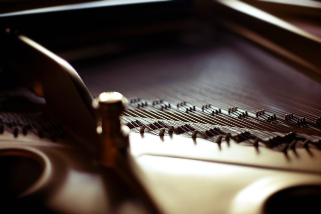 SS - Points in Time - piano strings.jpeg
