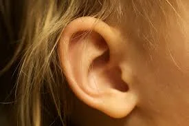 ear.jpg