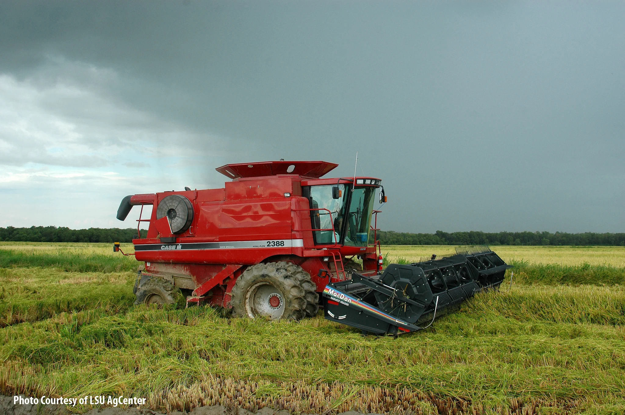 Photo: USA Rice