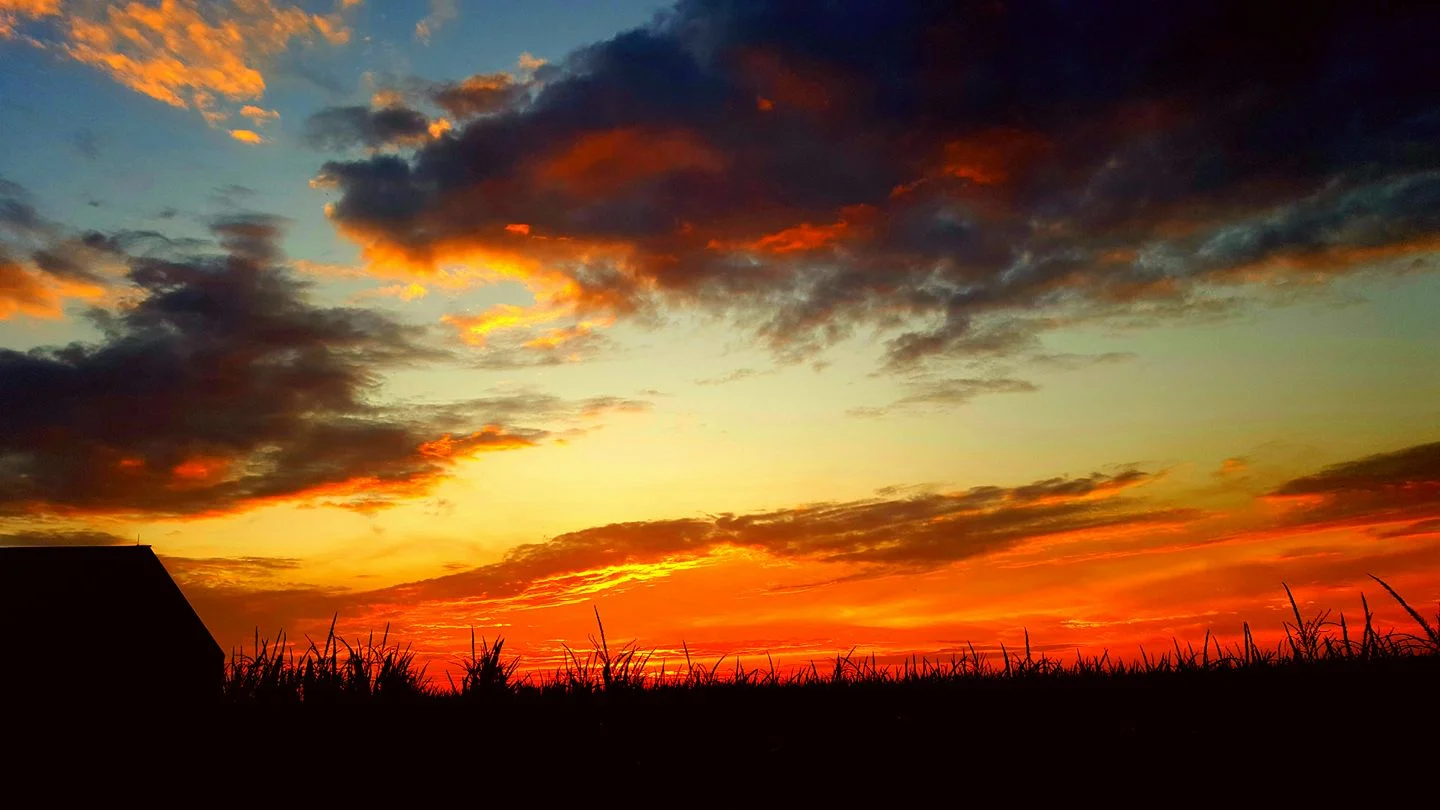 Sunset.jpg