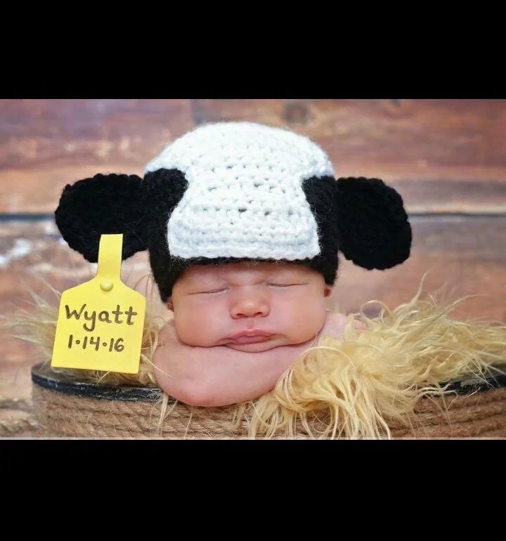 baby in cow hat.jpg