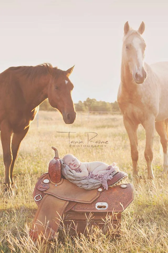 babywithhorses.jpg