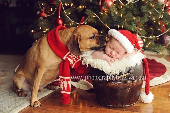 babyChristmaswithdog.jpg
