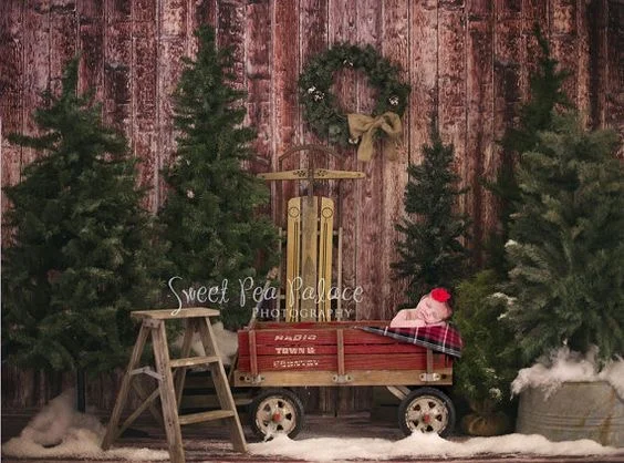 babyinredwagon.jpg