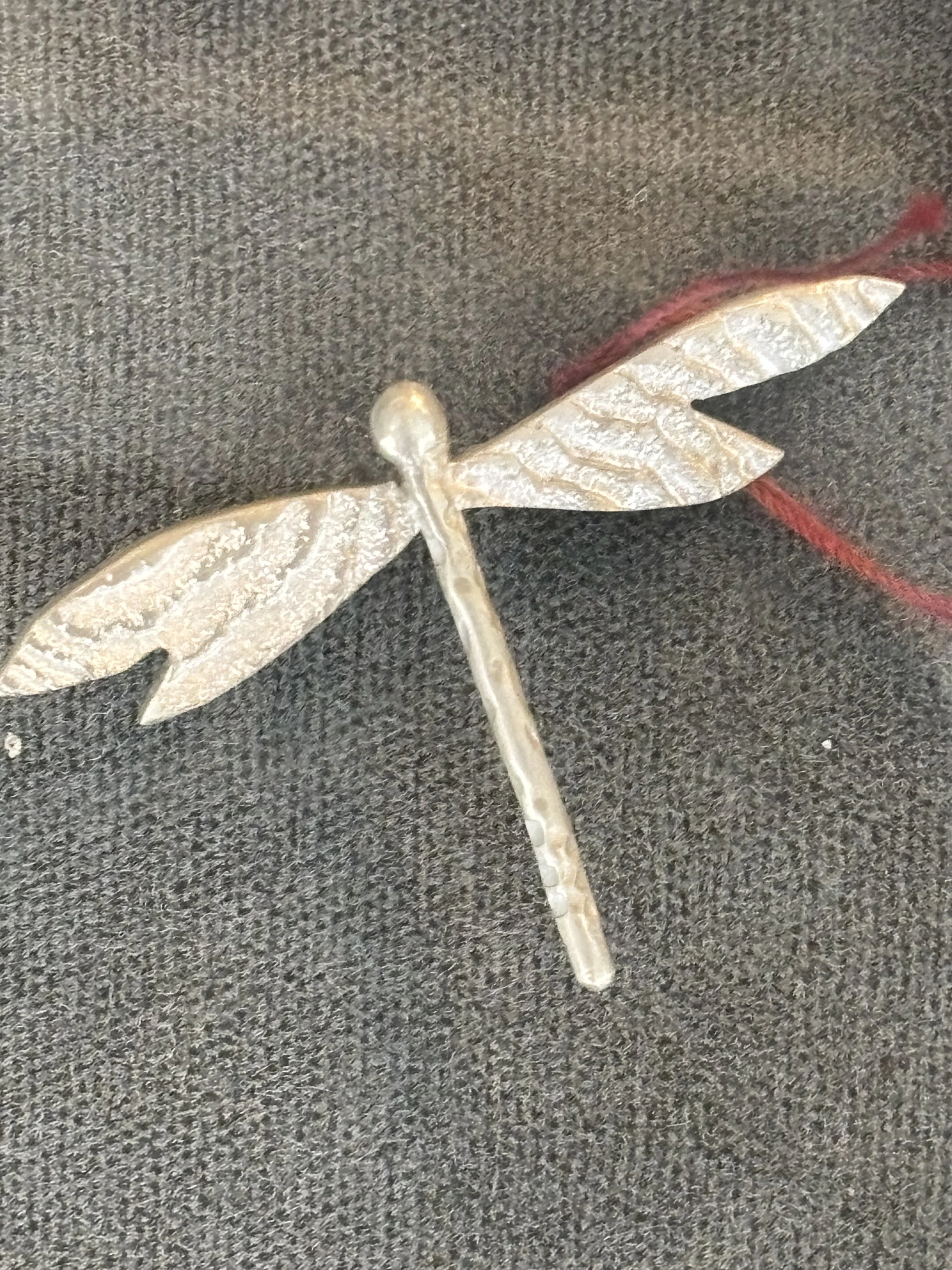 Colgrove dragonfly 2025.jpg